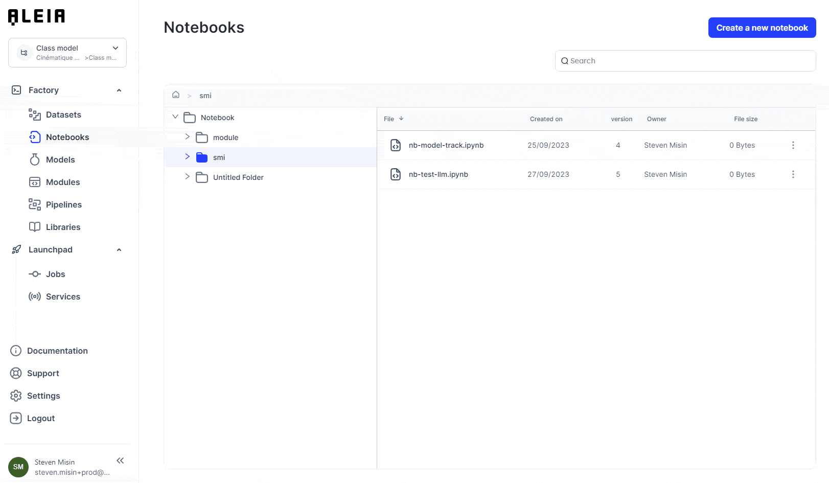 export notebook pipeline